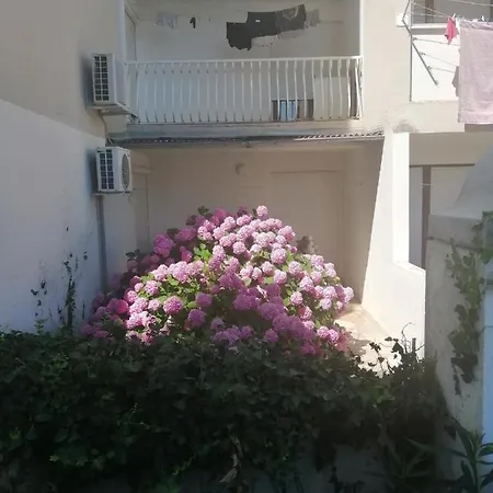 Apartment Hortensija