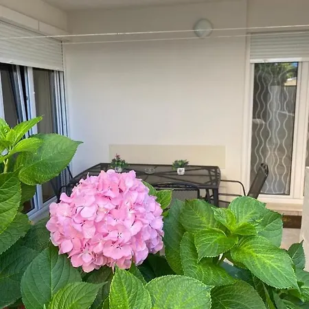 Hortensija Apartamento Split